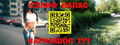 ГАЛЛЮЦИНОГЕННЫЕ ГРИБЫ Тара