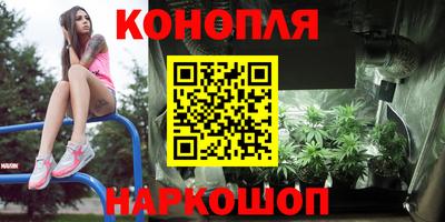 ГАЛЛЮЦИНОГЕННЫЕ ГРИБЫ Тара