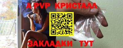 шишки Тверь