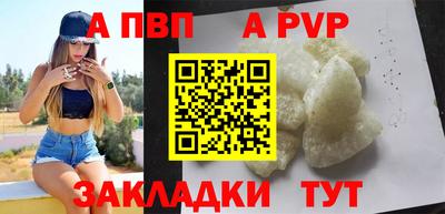 шишки Тверь
